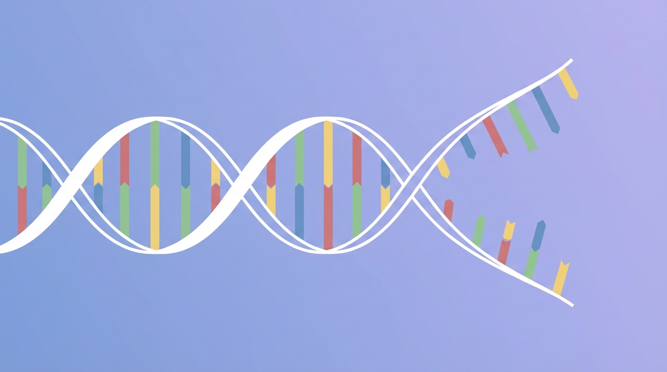 DNA Replication